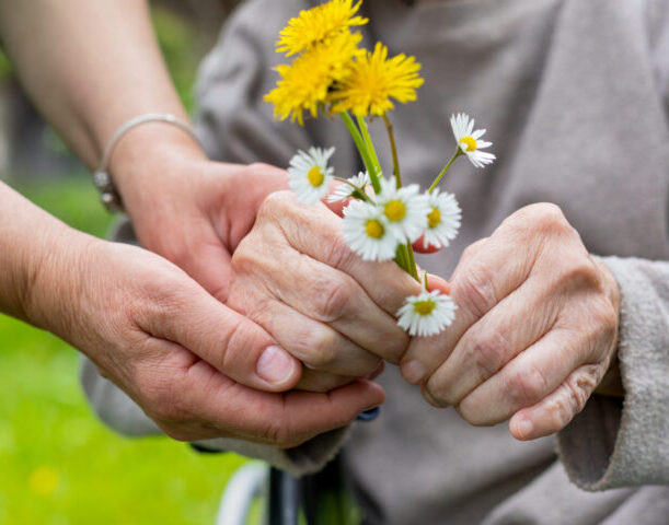 Hands holding flowers